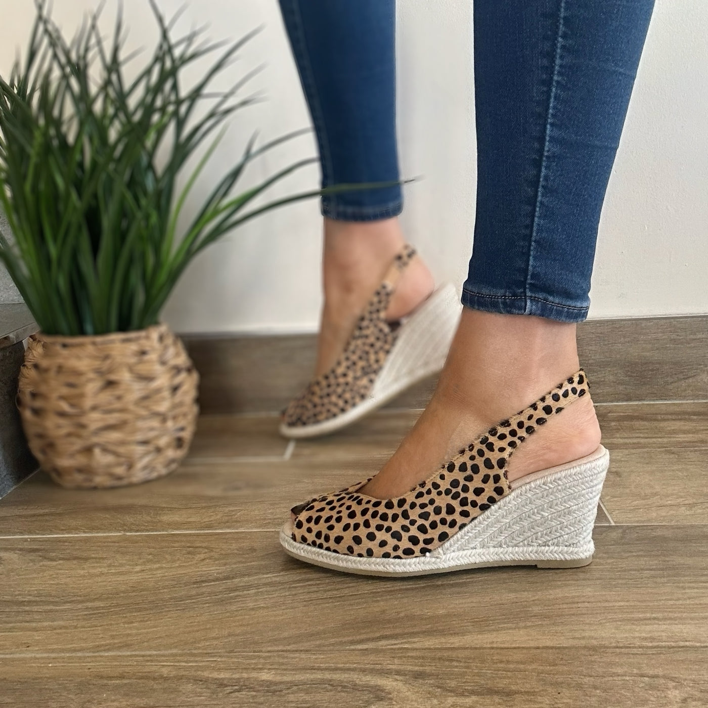 Kate Appleby Tregele In Leopard Print